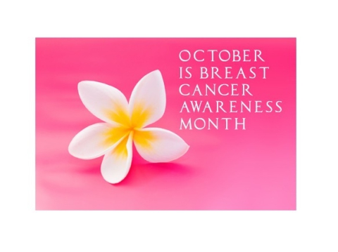 image of white flower pink background headline October is Breast Cancer Awareness Month
